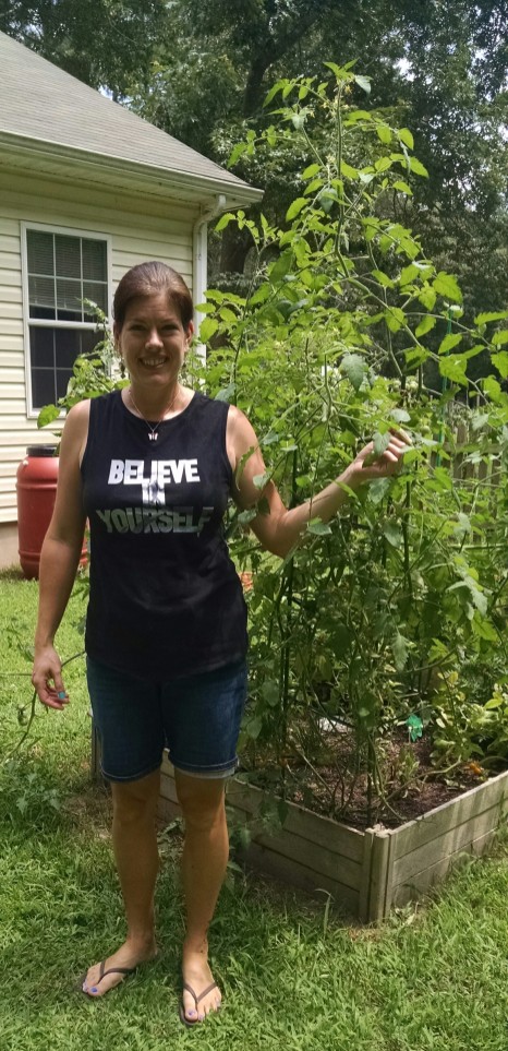 My Tomato Plant is taller than me!